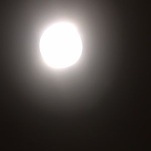 Meet your Posher, Janieya